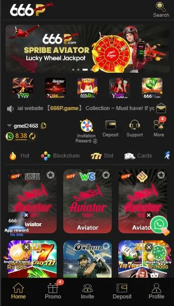 666P Interface